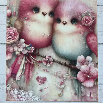 Carte postale couples d’oiseaux 